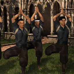 Si Vis Pacem… achievement