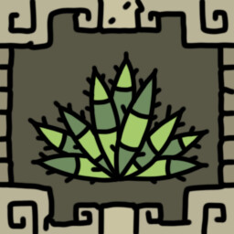 An aloe