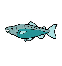 Young Fry achievement