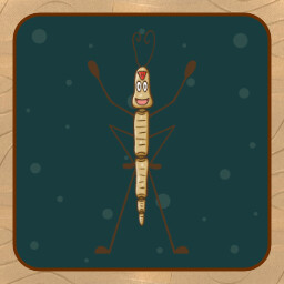 Stick Nation