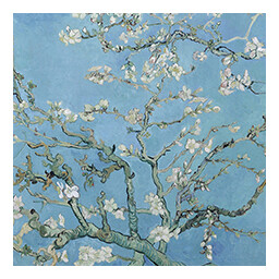 Vincent van Gogh 06