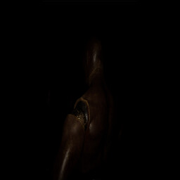 Chapter 3 achievement