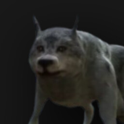 Good boy!