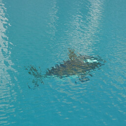 Oh Sharks? achievement