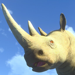 Free The Rhino