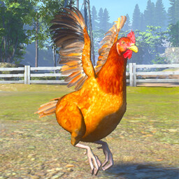 Chicken Chaser