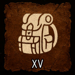 Consumer XV