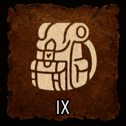 Consumer IX