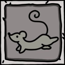 A rat