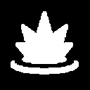 Bomb Disposal