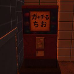 What's Inside the Capsule?