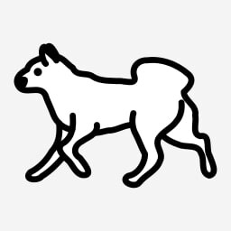Astro