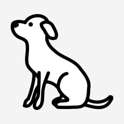 Capitu