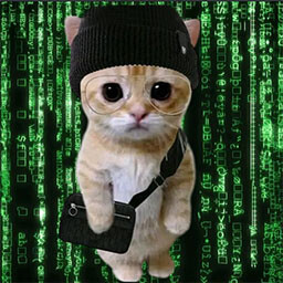 The matrix