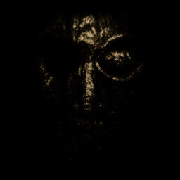 Identity