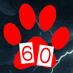 Room 60