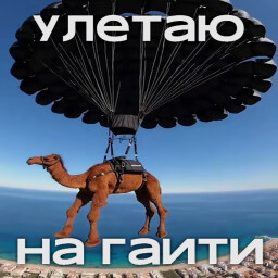УУУУЛЕТАЮ НА ГАИТИ achievement