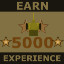 Earn 5000 experience (medals)
