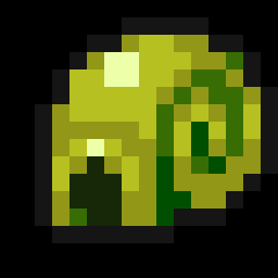 Nautilus Shell