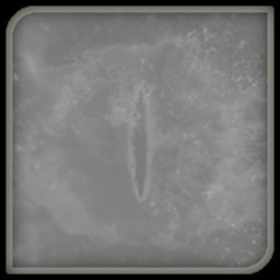 ΔV: Rings of Saturn Lords of the Ring 가이드