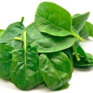 Sampapa Spinach