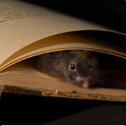 Bookmouse