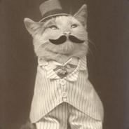 Baron Kitty von Catsworth