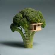 Mr. Big Broccoli