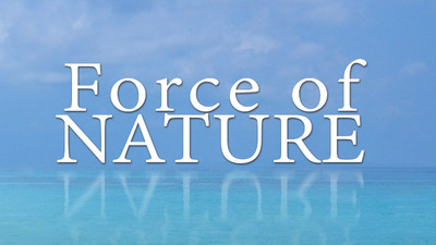 Force of Nature - Force of Nature 2 Blog - Steam
