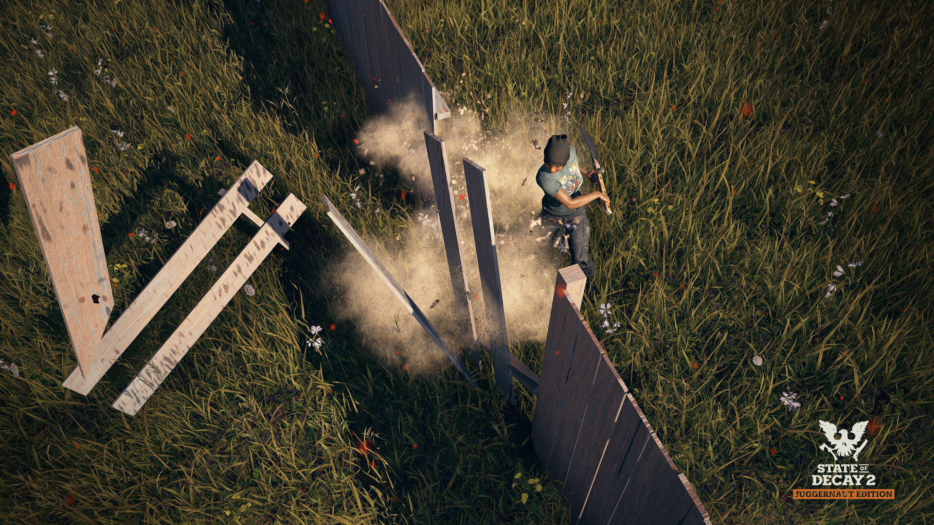 Update 29: Fields of View - State of Decay