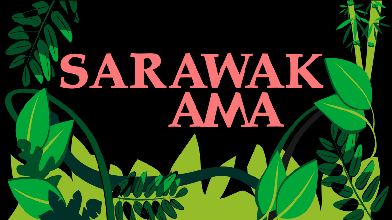 Sarawak announcement today