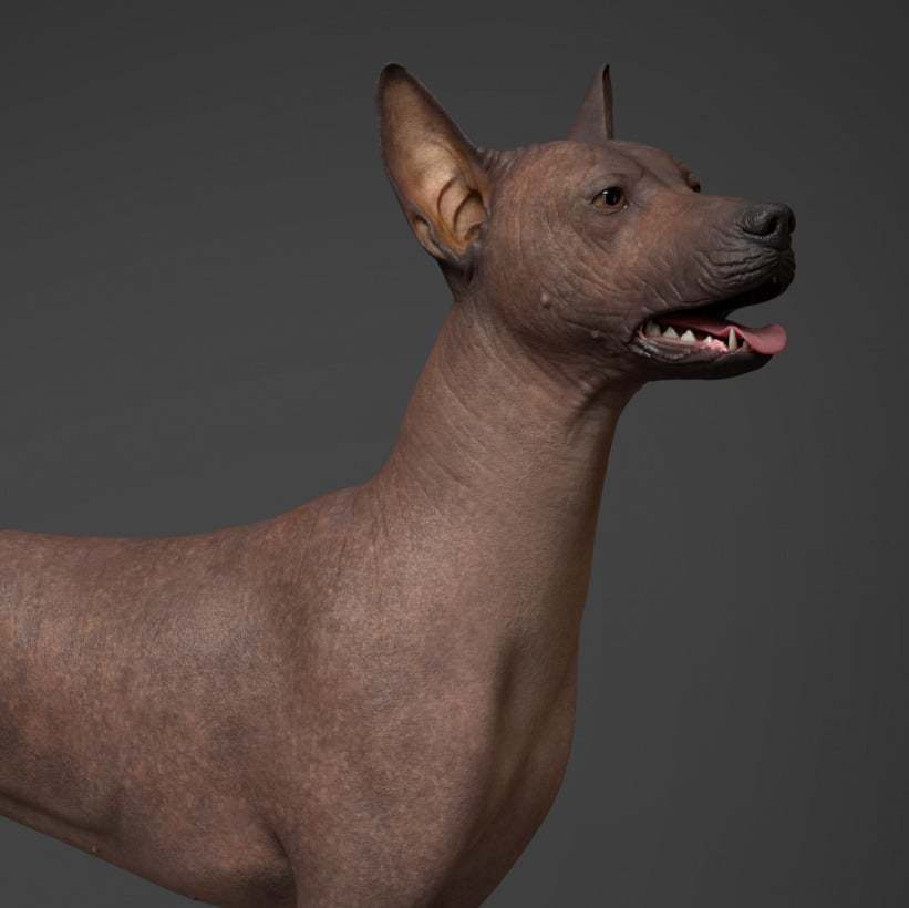 Mictlan An Ancient Mythical Tale Xoloitzcuintli Steamニュース