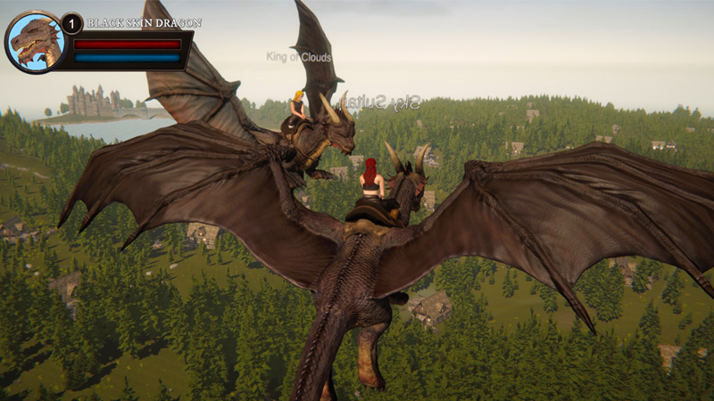 On the Dragon Wings - Birth of a Hero - Multiplayer - Dev Blog 1 ...