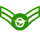 Graduate Spaceman First Class
