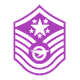 Graduate Master Sergeant