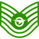 Graduate Tech Sergeant