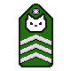 Captain