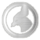 Silver Badge