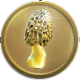 The Golden Morel