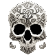 Copper Skull
