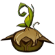 Seed