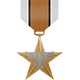 The Great War: Western Front™ - Silver Star}