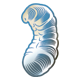 Larva