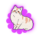 Flirty Cat