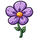 A Flower in the forest