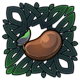 Growing Root