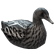 :fohduck: