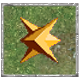 Bonus Item