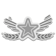 Silver Star