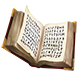 Book of Wild Magic